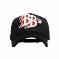 BACKPACKBOYZ X 31 HATS